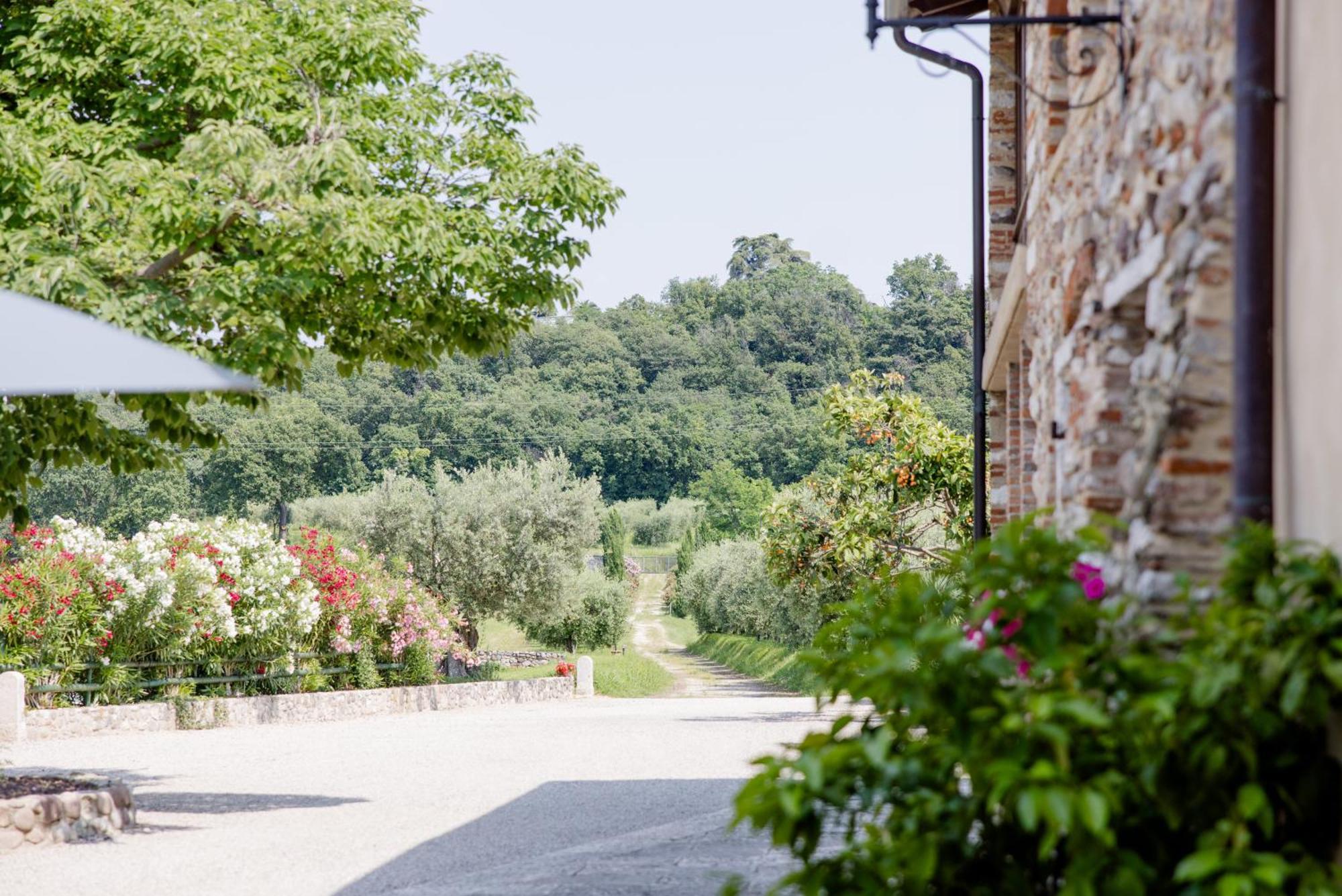 Agriturismo Sambuco Pastrengo Esterno foto