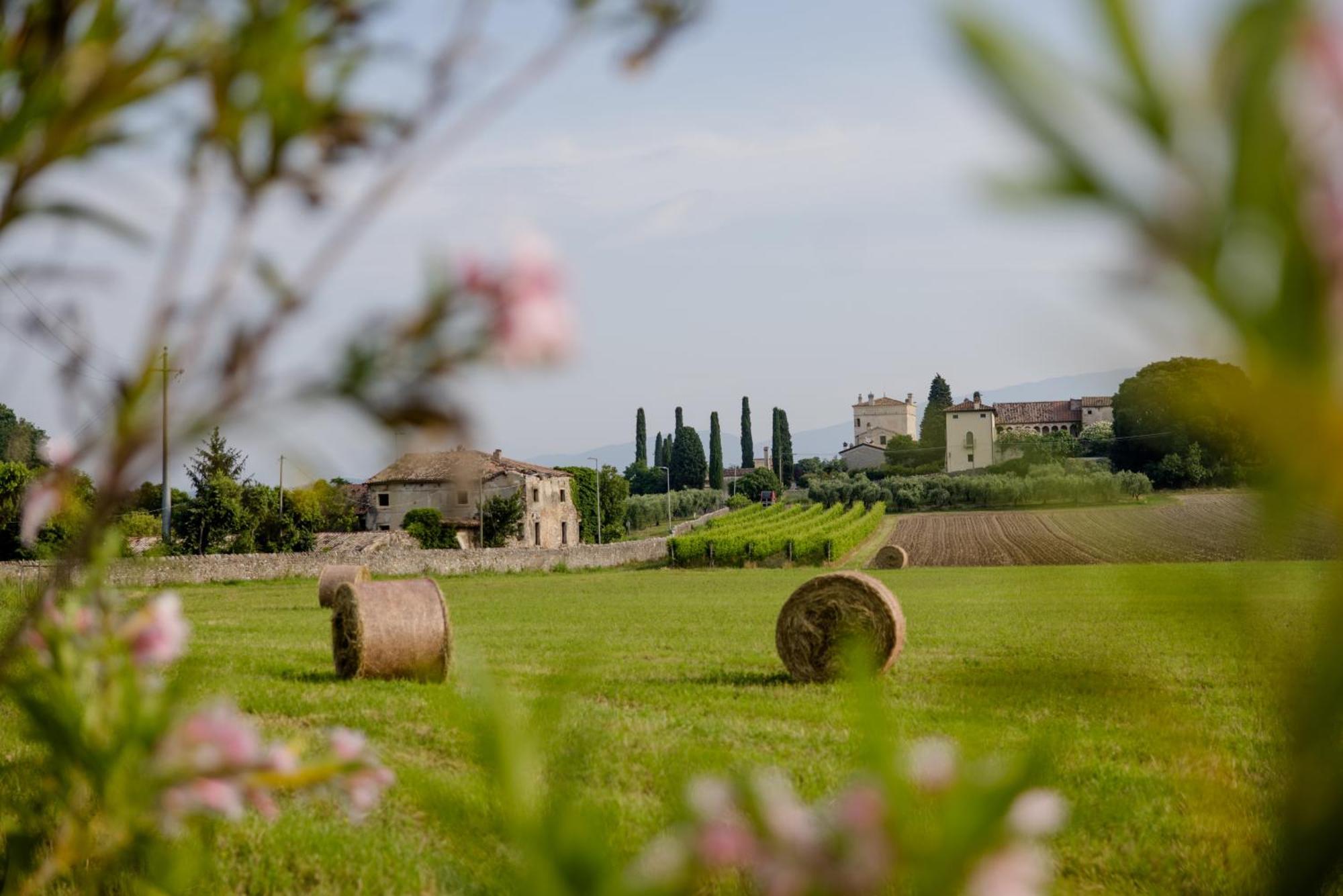 Agriturismo Sambuco Pastrengo Esterno foto