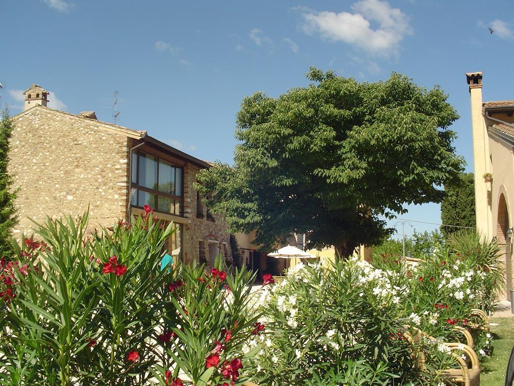 Agriturismo Sambuco Pastrengo Esterno foto