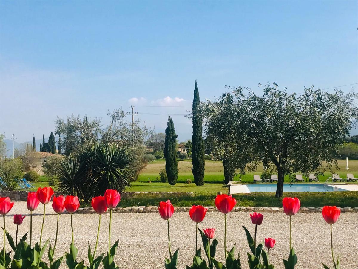 Agriturismo Sambuco Pastrengo Esterno foto