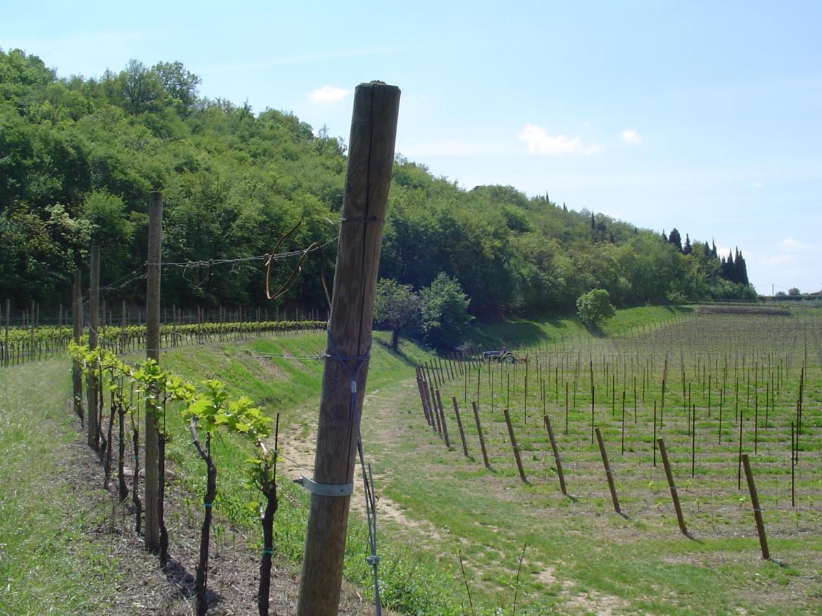 Agriturismo Sambuco Pastrengo Esterno foto