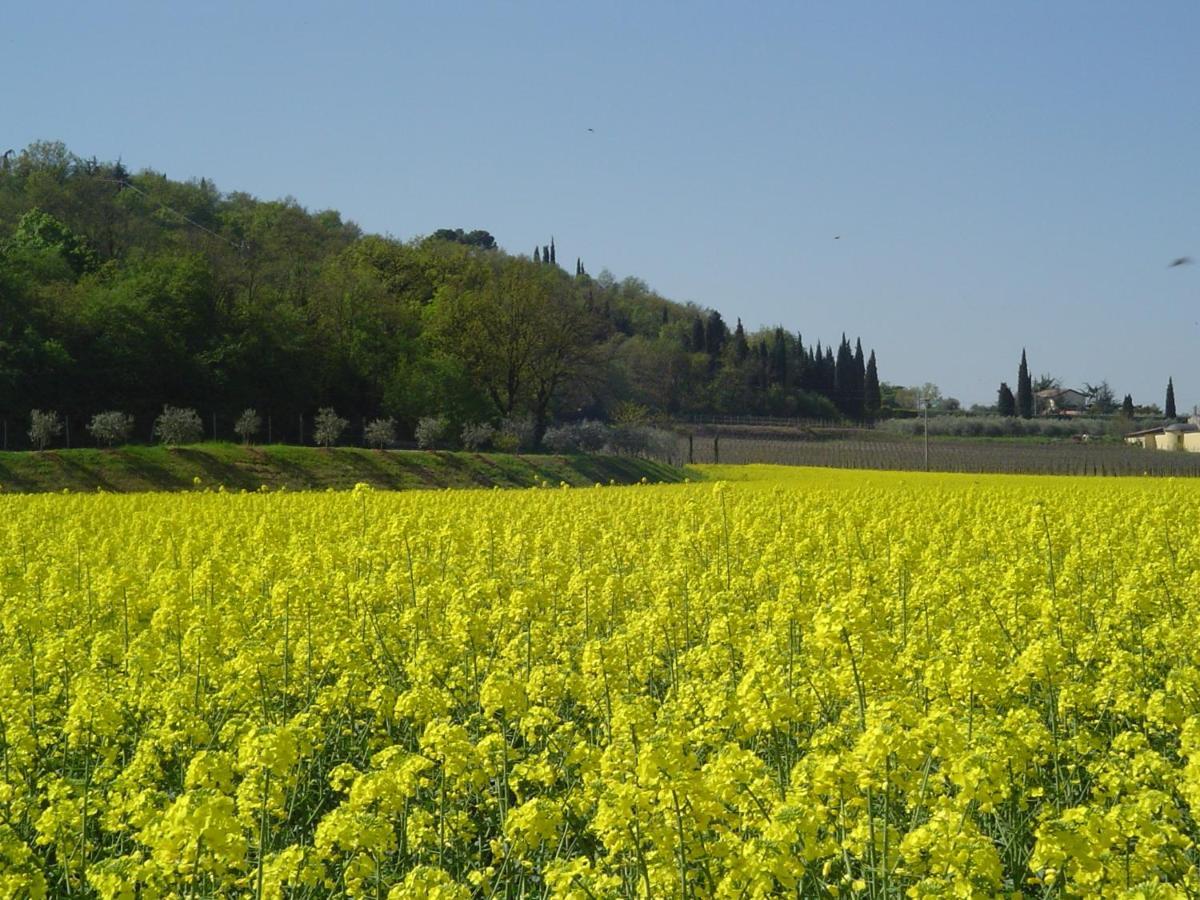 Agriturismo Sambuco Pastrengo Esterno foto